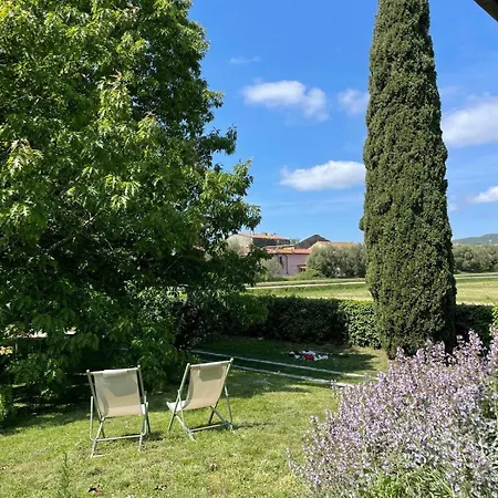 La Quercia E Il Cipresso