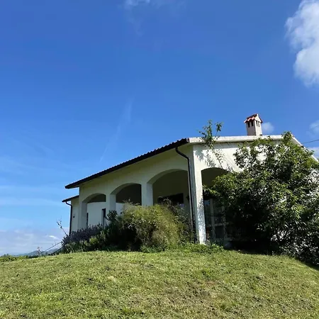La Quercia E Il Cipresso