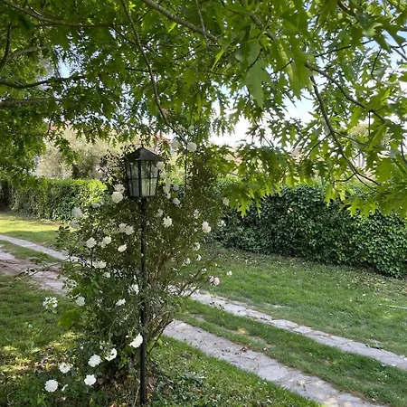 La Quercia E Il Cipresso Villa *