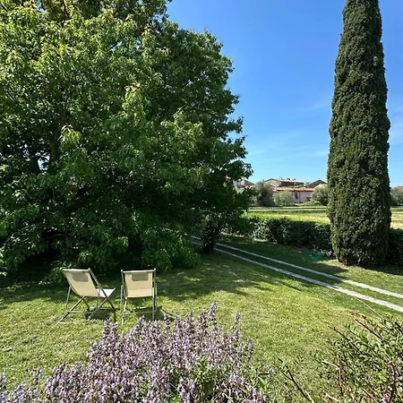 La Quercia E Il Cipresso