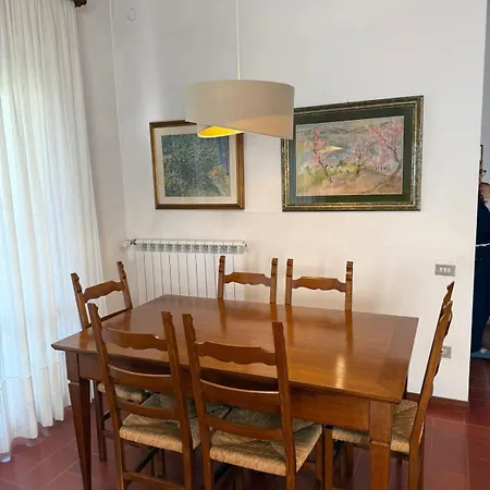 La Quercia E Il Cipresso
