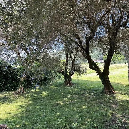 Villa La Quercia E Il Cipresso *